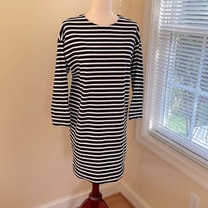 Everlane striped dress